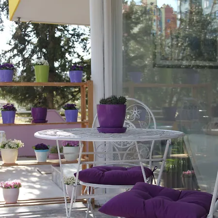 Hotel Granada 3*